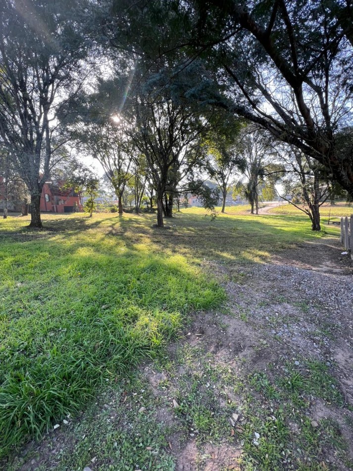 TERRENO EN LA ARBOLEDA
