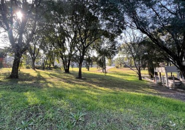 TERRENO EN LA ARBOLEDA